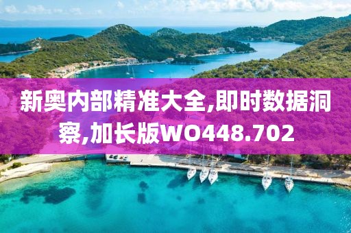 新奧內部精準大全,即時數(shù)據(jù)洞察,加長版WO448.702