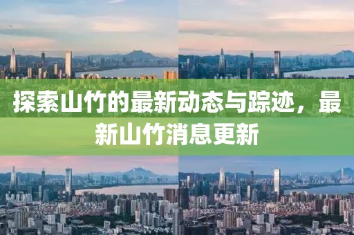 探索山竹的最新動態(tài)與蹤跡，最新山竹消息更新
