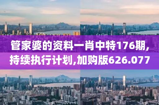 管家婆的資料一肖中特176期,持續(xù)執(zhí)行計劃,加購版626.077