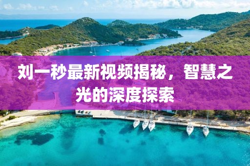 劉一秒最新視頻揭秘，智慧之光的深度探索