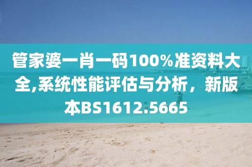 管家婆一肖一碼100%準(zhǔn)資料大全,系統(tǒng)性能評(píng)估與分析，新版本BS1612.5665