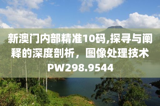 新澳門內(nèi)部精準(zhǔn)10碼,探尋與闡釋的深度剖析，圖像處理技術(shù)PW298.9544