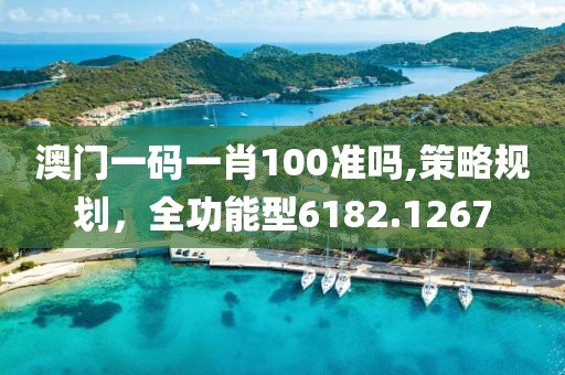 澳門(mén)一碼一肖100準(zhǔn)嗎,策略規(guī)劃，全功能型6182.1267