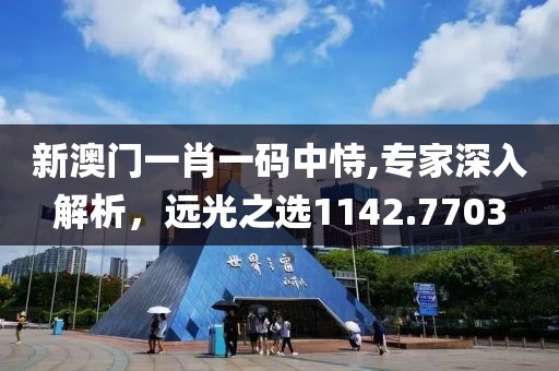 新澳門一肖一碼中恃,專家深入解析，遠(yuǎn)光之選1142.7703