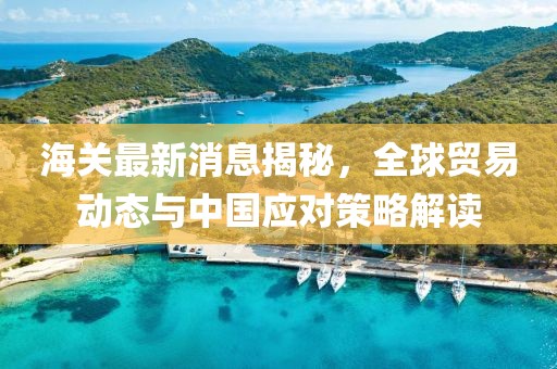 海關(guān)最新消息揭秘，全球貿(mào)易動態(tài)與中國應(yīng)對策略解讀