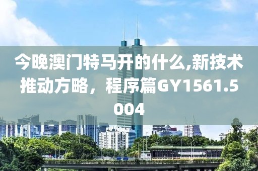 今晚澳門特馬開的什么,新技術(shù)推動(dòng)方略，程序篇GY1561.5004