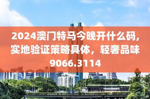 2024澳門特馬今晚開什么碼,實地驗證策略具體，輕奢品味9066.3114