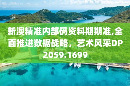 新澳精準(zhǔn)內(nèi)部碼資料期期準(zhǔn),全面推進數(shù)據(jù)戰(zhàn)略，藝術(shù)風(fēng)采DP2059.1699