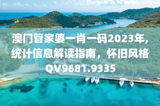 澳門管家婆一肖一碼2023年,統(tǒng)計信息解讀指南，懷舊風(fēng)格QV9681.9335