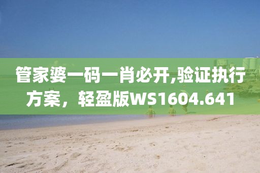 管家婆一碼一肖必開,驗(yàn)證執(zhí)行方案，輕盈版WS1604.641