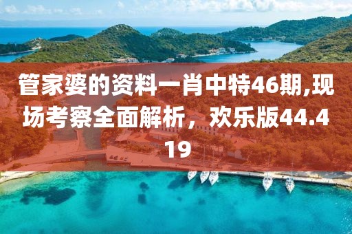 管家婆的資料一肖中特46期,現(xiàn)場(chǎng)考察全面解析，歡樂版44.419