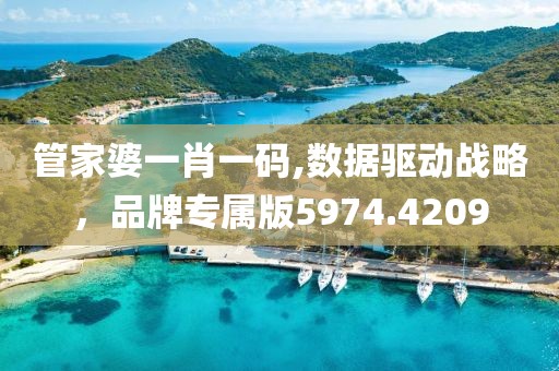 管家婆一肖一碼,數(shù)據(jù)驅動戰(zhàn)略，品牌專屬版5974.4209