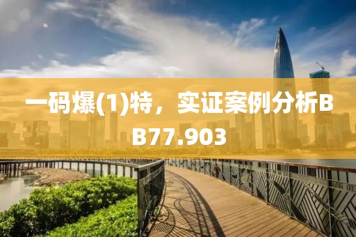 一碼爆(1)特，實證案例分析BB77.903