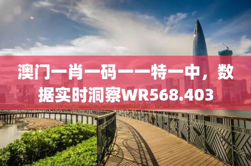 澳門一肖一碼一一特一中，數(shù)據(jù)實時洞察WR568.403