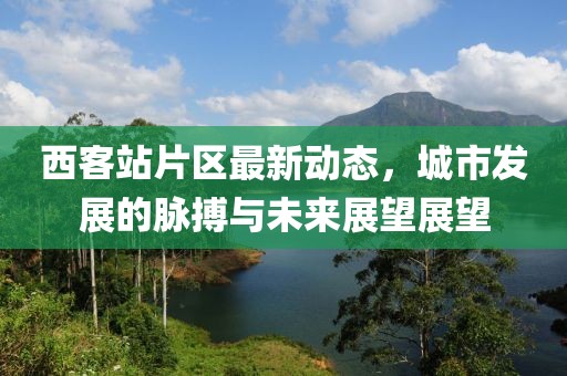 西客站片區(qū)最新動(dòng)態(tài)，城市發(fā)展的脈搏與未來(lái)展望展望