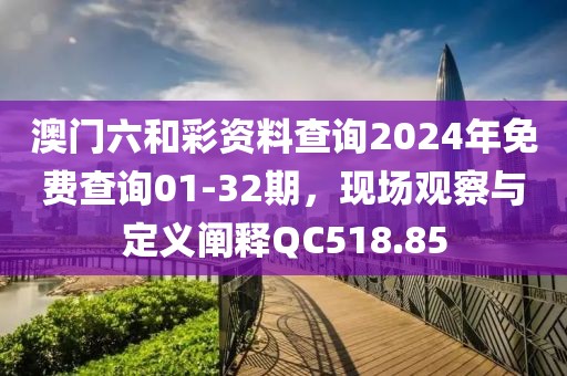 澳門六和彩資料查詢2024年免費查詢01-32期，現(xiàn)場觀察與定義闡釋QC518.85