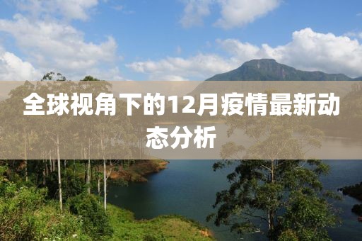 全球視角下的12月疫情最新動(dòng)態(tài)分析