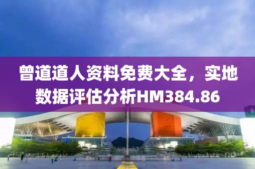 曾道道人資料免費大全，實地數(shù)據(jù)評估分析HM384.86