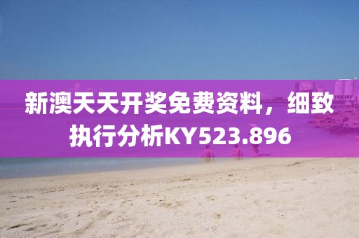 新澳天天開獎免費資料，細致執(zhí)行分析KY523.896