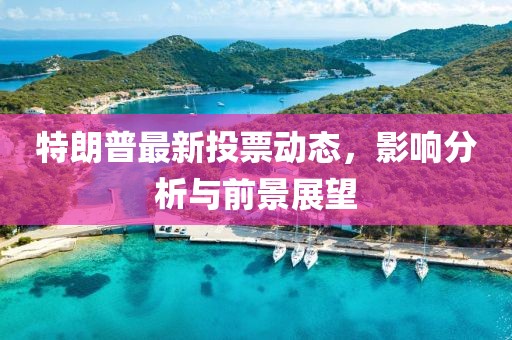 特朗普最新投票動(dòng)態(tài)，影響分析與前景展望