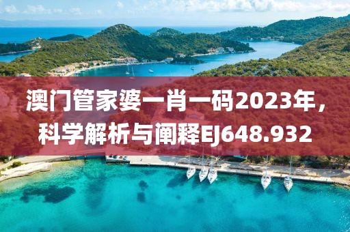 澳門管家婆一肖一碼2023年，科學解析與闡釋EJ648.932