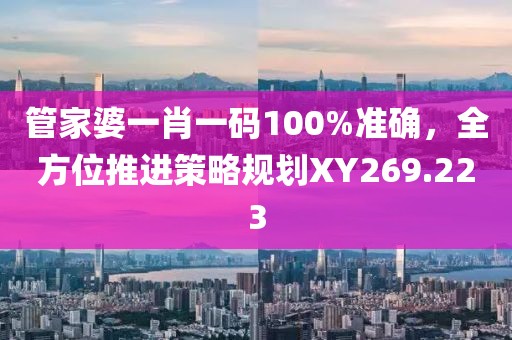 管家婆一肖一碼100%準確，全方位推進策略規(guī)劃XY269.223