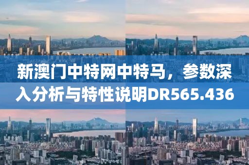 新澳門中特網(wǎng)中特馬，參數(shù)深入分析與特性說明DR565.436