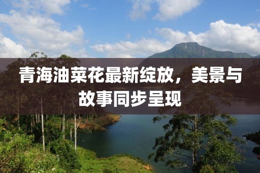 青海油菜花最新綻放，美景與故事同步呈現(xiàn)