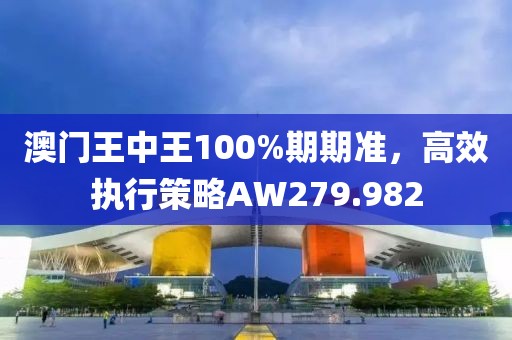 澳門王中王100%期期準(zhǔn)，高效執(zhí)行策略AW279.982