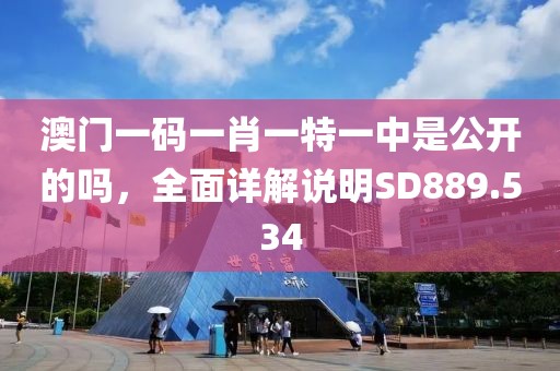 澳門一碼一肖一特一中是公開的嗎，全面詳解說明SD889.534