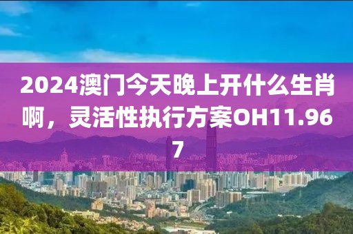 2024澳門今天晚上開(kāi)什么生肖啊，靈活性執(zhí)行方案OH11.967