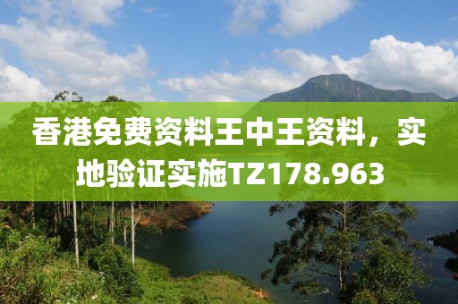 香港免費(fèi)資料王中王資料，實(shí)地驗(yàn)證實(shí)施TZ178.963