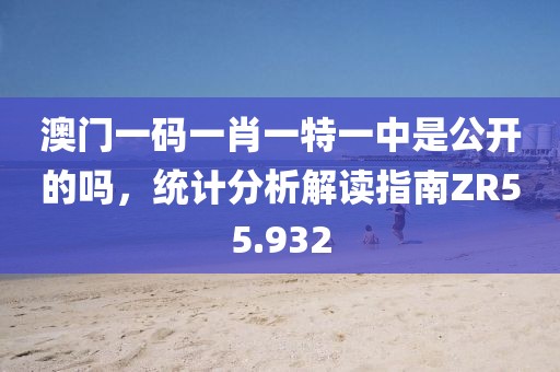 澳門(mén)一碼一肖一特一中是公開(kāi)的嗎，統(tǒng)計(jì)分析解讀指南ZR55.932