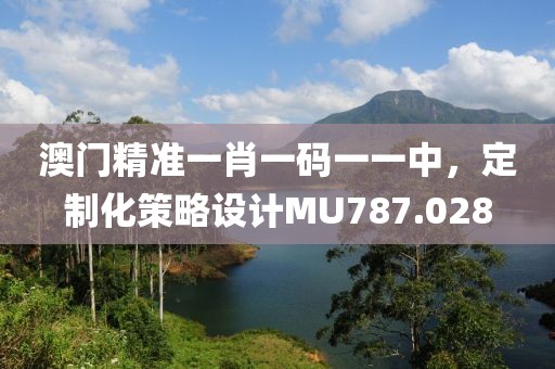 澳門精準一肖一碼一一中，定制化策略設計MU787.028
