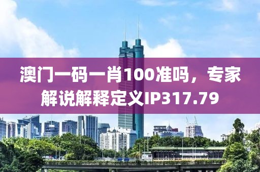 澳門一碼一肖100準嗎，專家解說解釋定義IP317.79