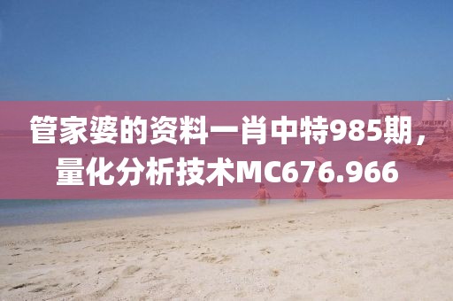 管家婆的資料一肖中特985期，量化分析技術(shù)MC676.966