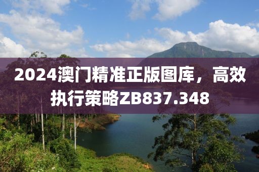 2024澳門精準正版圖庫，高效執(zhí)行策略ZB837.348