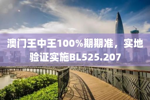 澳門王中王100%期期準，實地驗證實施BL525.207