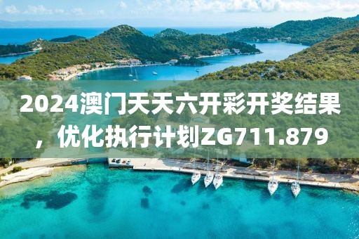 2024澳門天天六開彩開獎結(jié)果，優(yōu)化執(zhí)行計劃ZG711.879