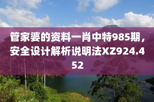管家婆的資料一肖中特985期，安全設(shè)計解析說明法XZ924.452