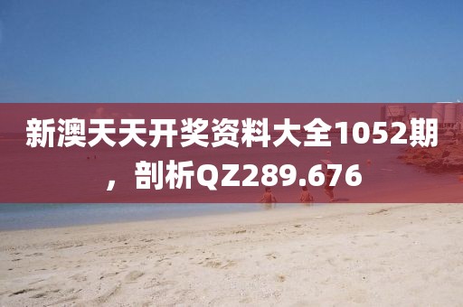 新澳天天開獎資料大全1052期，剖析QZ289.676