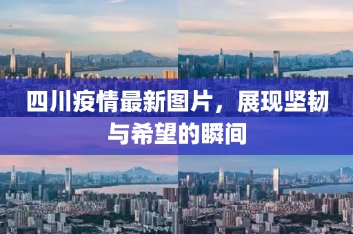 四川疫情最新圖片，展現(xiàn)堅(jiān)韌與希望的瞬間