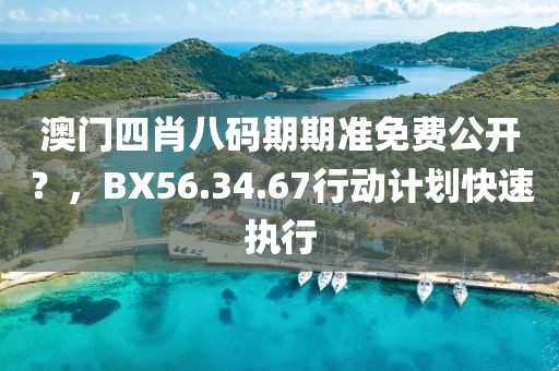 澳門四肖八碼期期準(zhǔn)免費(fèi)公開？，BX56.34.67行動(dòng)計(jì)劃快速執(zhí)行