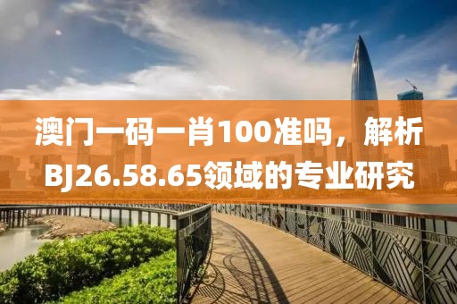 澳門一碼一肖100準嗎，解析BJ26.58.65領域的專業(yè)研究