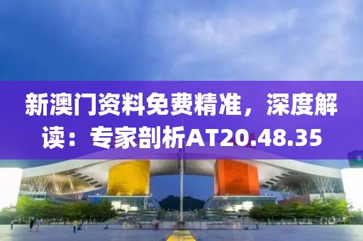 新澳門資料免費精準，深度解讀：專家剖析AT20.48.35