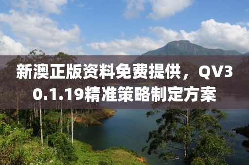 新澳正版資料免費提供，QV30.1.19精準策略制定方案