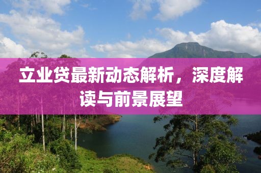 立業(yè)貸最新動(dòng)態(tài)解析，深度解讀與前景展望