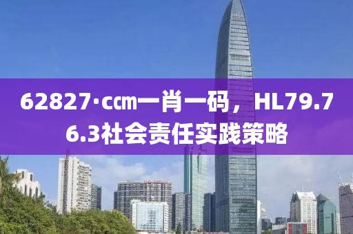 62827·c㎝一肖一碼，HL79.76.3社會責(zé)任實踐策略