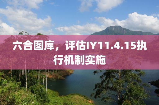 六合圖庫，評估IY11.4.15執(zhí)行機制實施