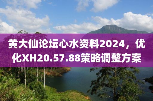 黃大仙論壇心水資料2024，優(yōu)化XH20.57.88策略調(diào)整方案